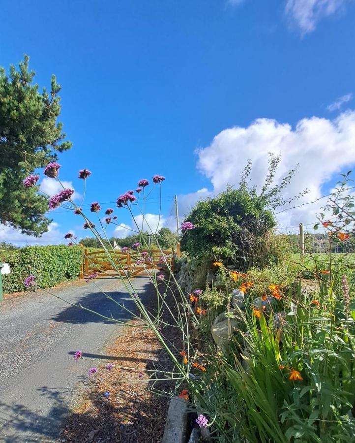 Red Gate Cottage بونكرانا المظهر الخارجي الصورة